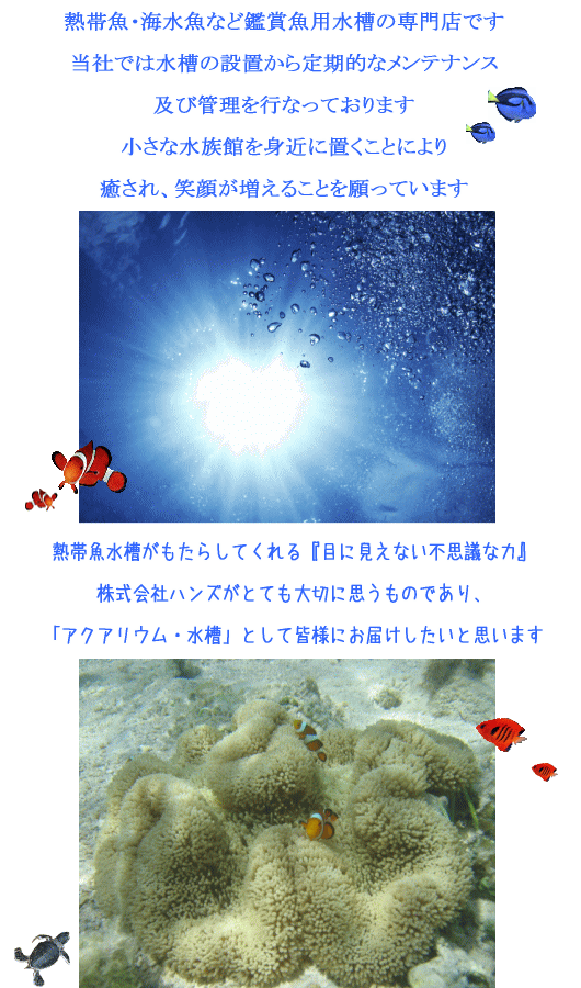 水槽のレンタル設置のメンテナンス専門業者です。