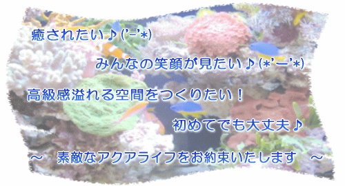 大型水槽とクラゲ水槽に珊瑚水槽をCM
