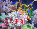 熱帯魚リースの導入事例