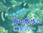 クラゲ水槽リースで海中散歩のご案内