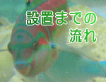 水槽設置までの流れ