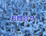 水槽設置のお問合せ