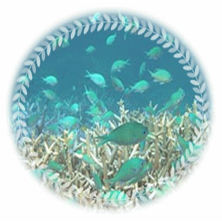 デバスズメのイメージ