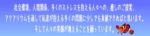 ニモが癒す設置した水槽レンタルのお知らせ