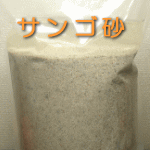 サンゴ砂バクテリア付き